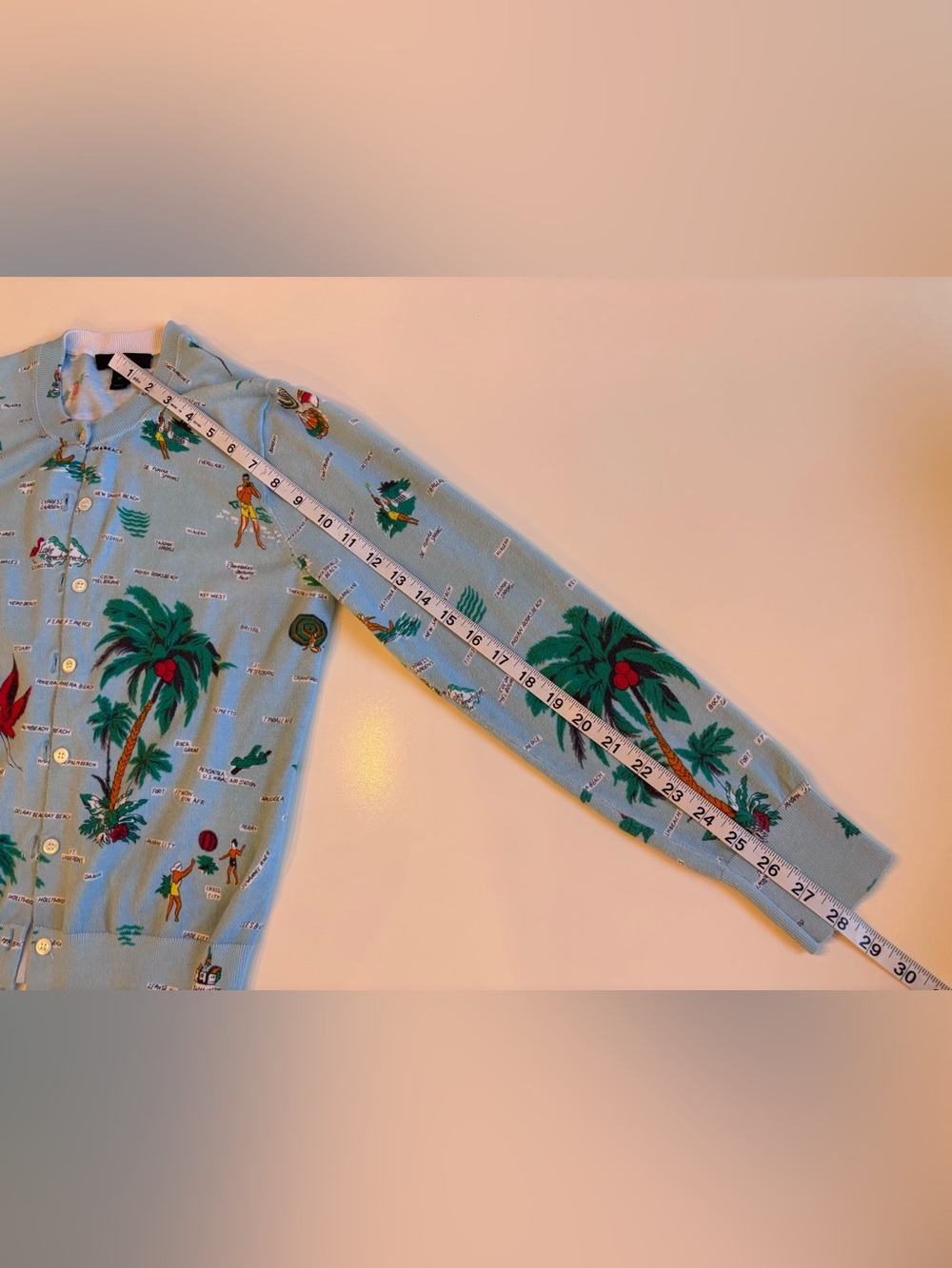 J Crew Retro Florida Travel Map Print Jackie Cardin Sweater, Blue, Medium - Picture 8 of 16